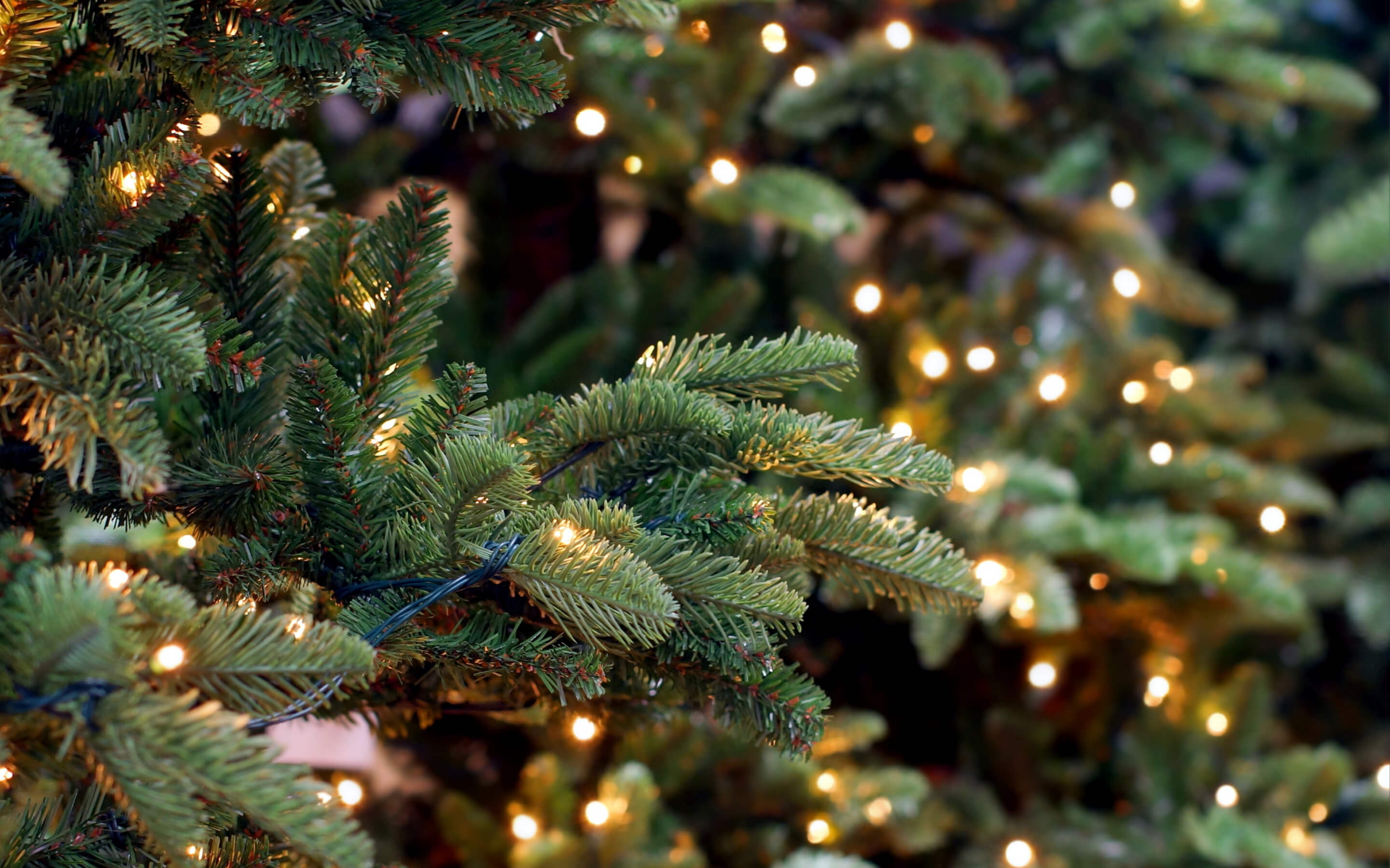 График работы в&nbsp;праздничные дни